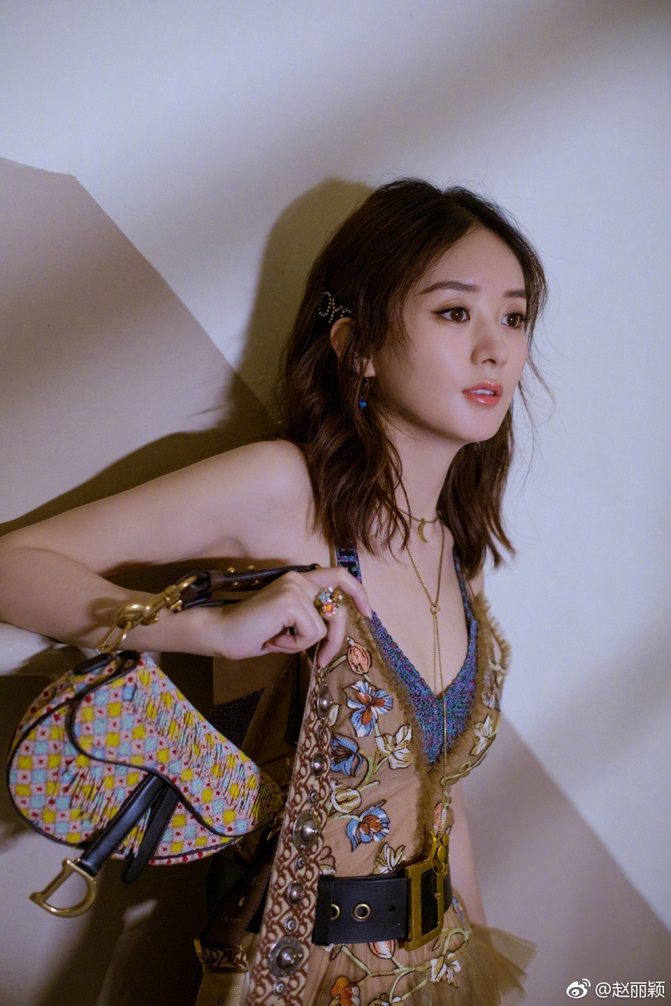 赵姓女演员，演艺之路的闪耀星辰