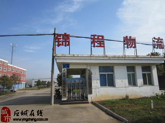 应城市最新招工信息大揭秘，优质工作机会等你来！