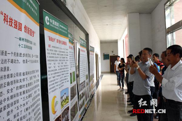 湖南烟草报名人数更新，科技驱动行业变革，开启新纪元